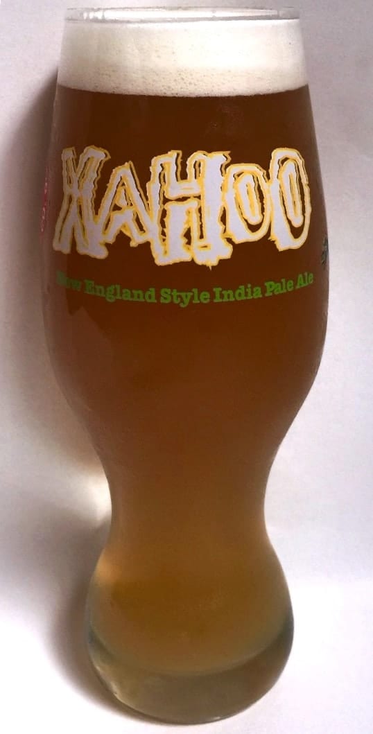 Juice Orb Hazy IPA & Sour Beer Glass 